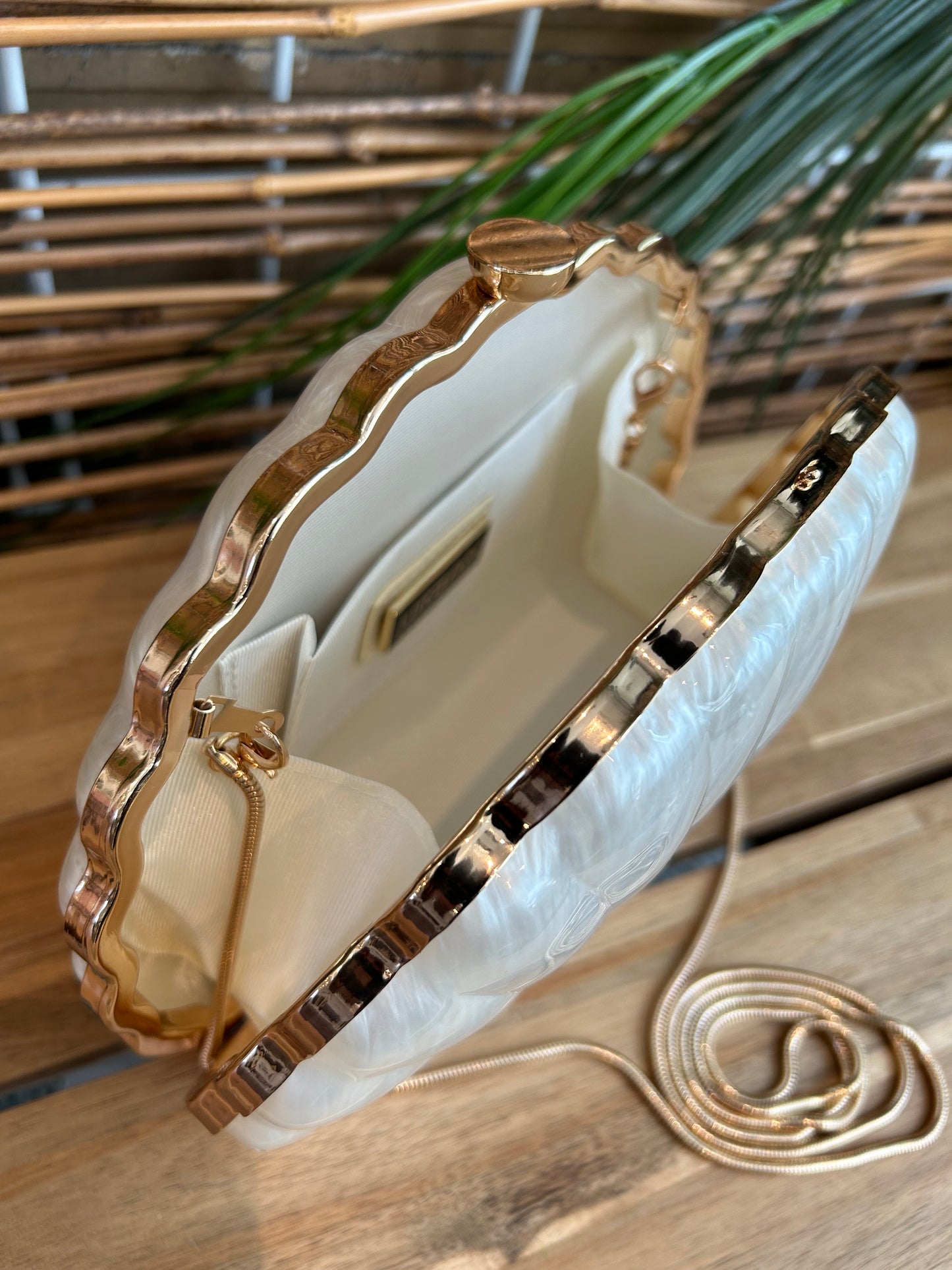 Mozambique Pearl Seashell Clutch