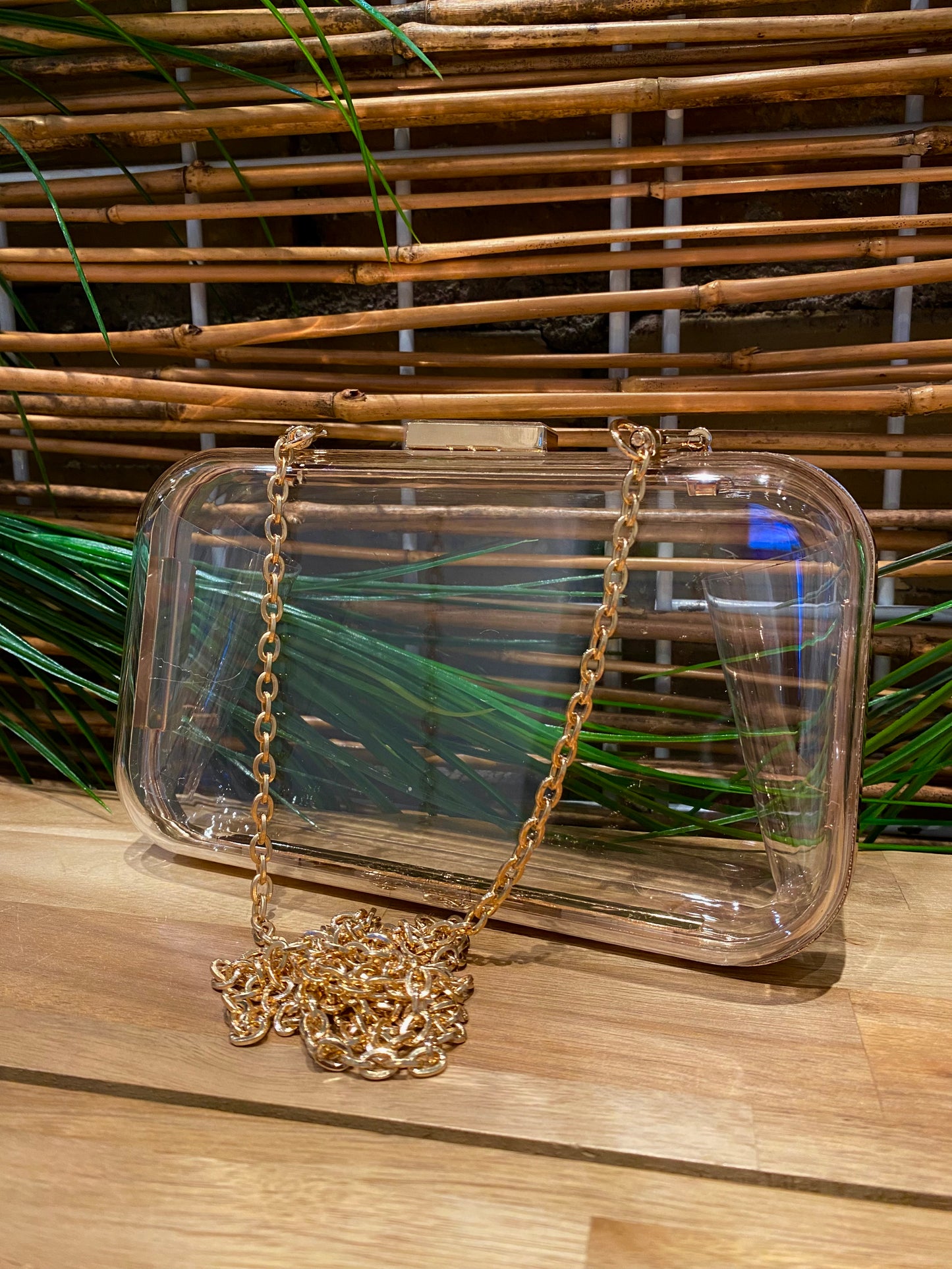 Vivica Clear Evening Clutch