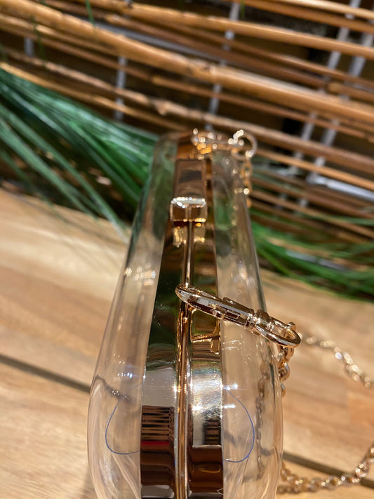 Vivica Clear Evening Clutch