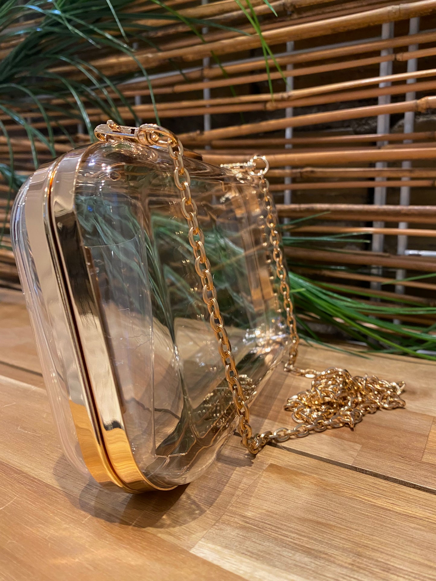 Vivica Clear Evening Clutch